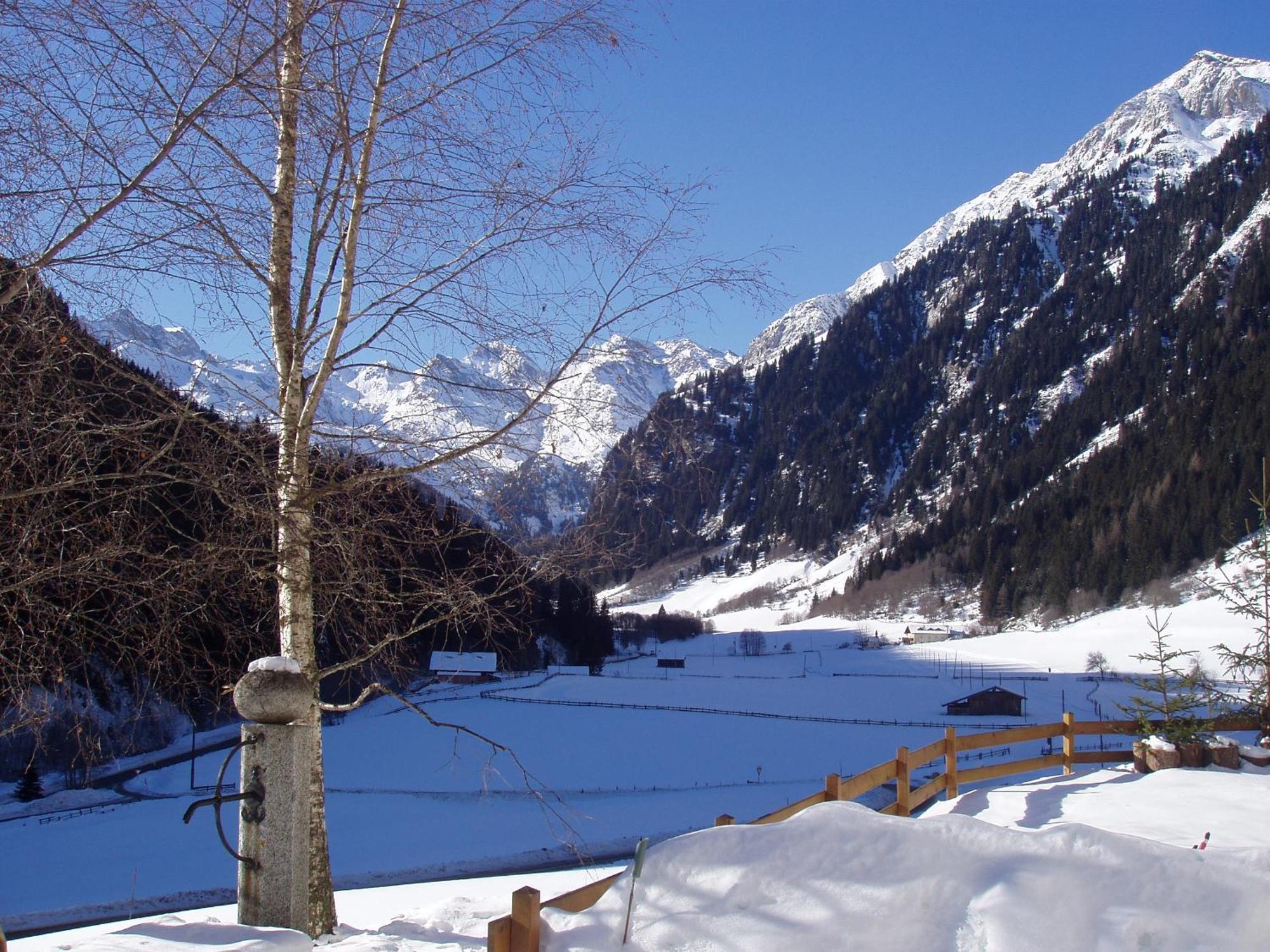 Seeberhof Racines Extérieur photo